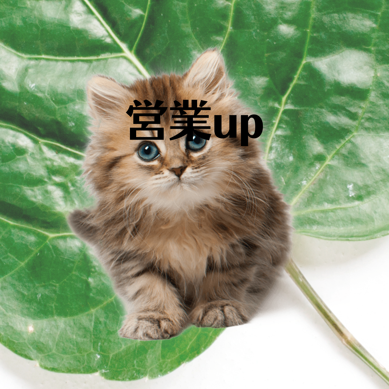 営業up